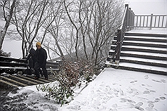 強烈寒流襲台  宜桃竹投紛降雪