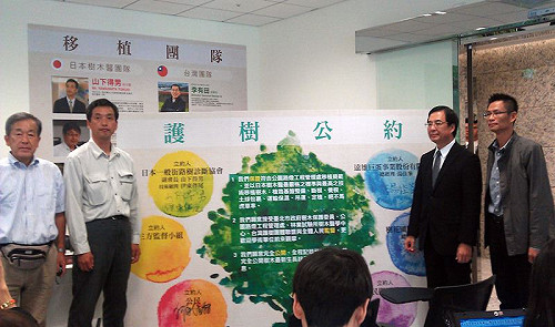 大巨蛋移樹爭議有解？ 遠雄找來日本樹醫