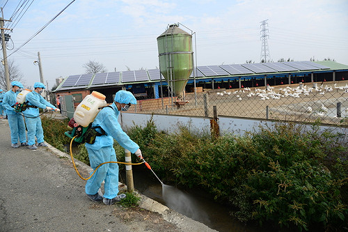 全台38養殖場送檢  恐連彰化也染禽流感