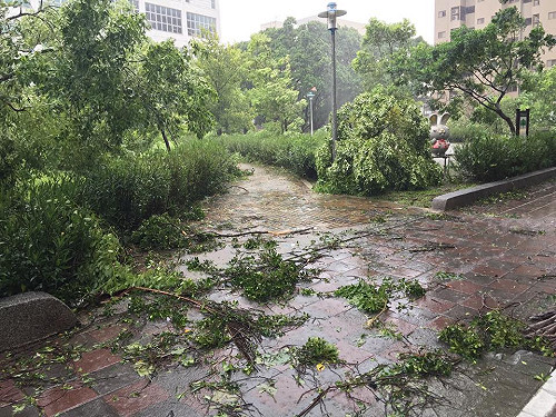 蘇迪勒造成7死5失蹤  農損逾6億