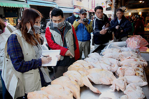 苗栗拾獲3死亡白頭翁  檢出新型H5N3