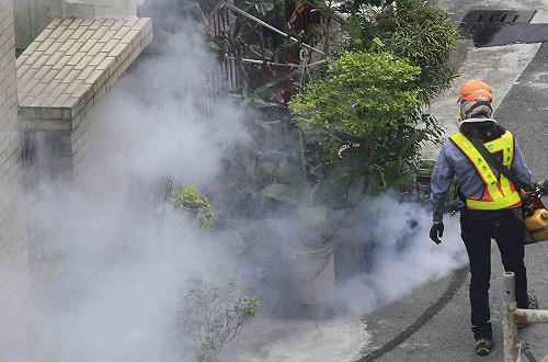 噴藥難抑登革熱疫情 高市明年採生態滅蚊