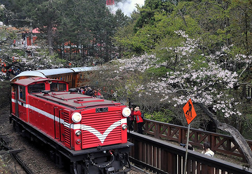 潭美來襲  林務局18處森林遊樂區休園