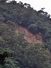 白雲寺土石流  已有7人罹難