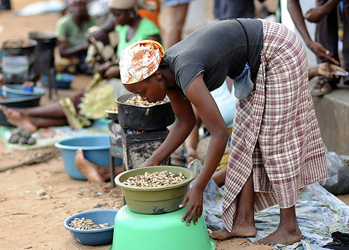 《中國的第二個大陸》書摘3：快去非洲買便宜土地