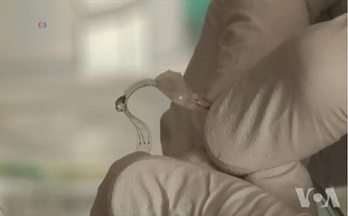 瑞士研發E-Dura  可望幫助癱瘓者重新站起