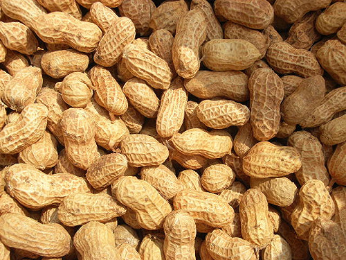 研究：懷孕多吃花生  小孩較不會花生過敏