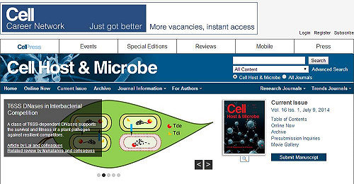 台灣植物微生物新發現！或可應用在農改