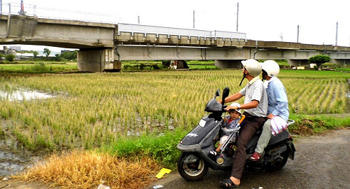 銨氣外洩2甲秧苗枯死  台肥承諾補償