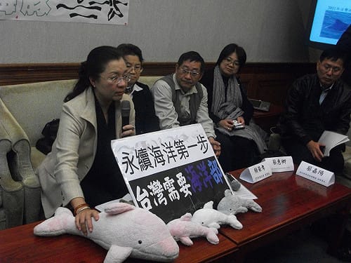白海豚只剩62隻  立委籲成立海洋部