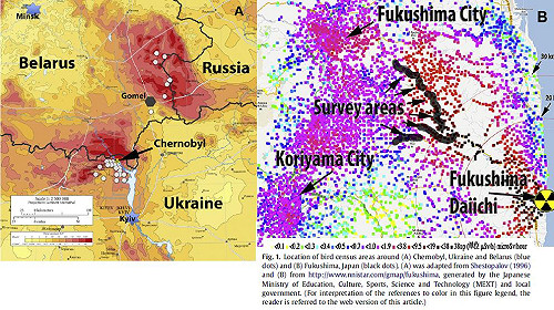 美日學者：核能事故導致鳥類昆蟲異常