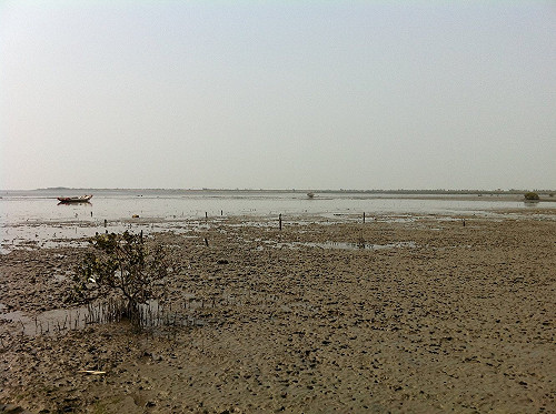 蘇蔡簽石化承諾書  總統不表態遭轟下台