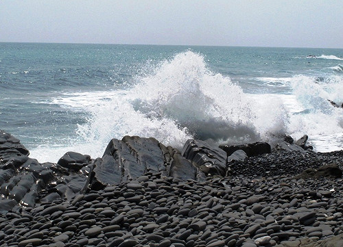 專家：海平面上升無法阻止  但能減緩