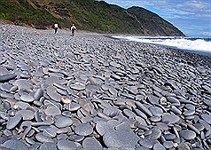 遊阿朗壹古道  9月起每天上限300人