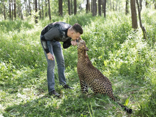 俄羅斯動物園奶人花豹不捨飼育員樂被收編回家當大貓 新奇 新頭殼newtalk