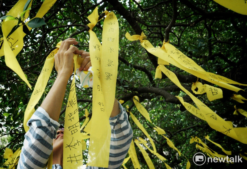 聲援團體成員在樹上繫上黃絲帶，表達對李明哲案與人權的關注。   圖：張良一/攝