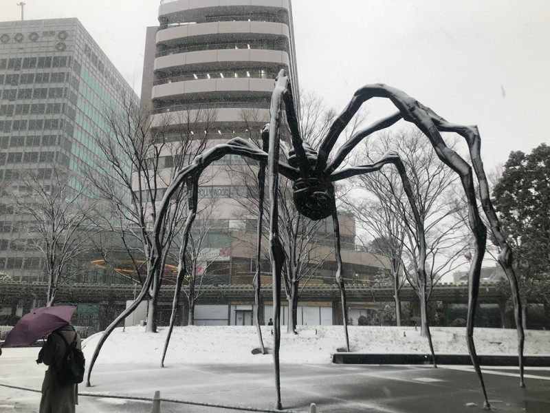 00東京大雪時的六本木山莊模樣，蜘蛛是路易斯 布魯瓦的作品。   圖:葉怡君/攝