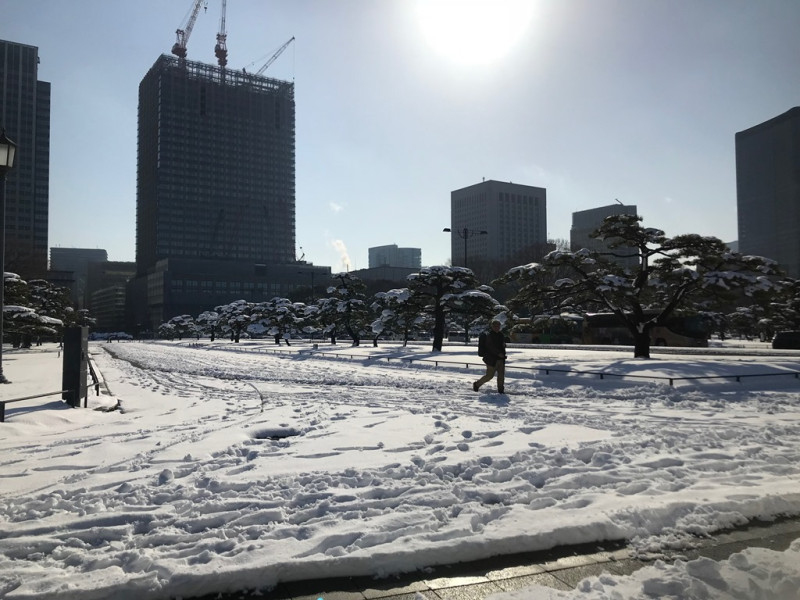 東京大雪時的皇宮前景象。   圖:葉怡君/攝