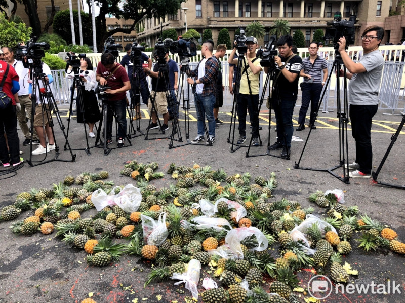 各家媒體搶拍砸碎的鳳梨，顯示這些都是農民辛苦卻無所得的無奈。   圖：張元誠、聶良恩/ 攝