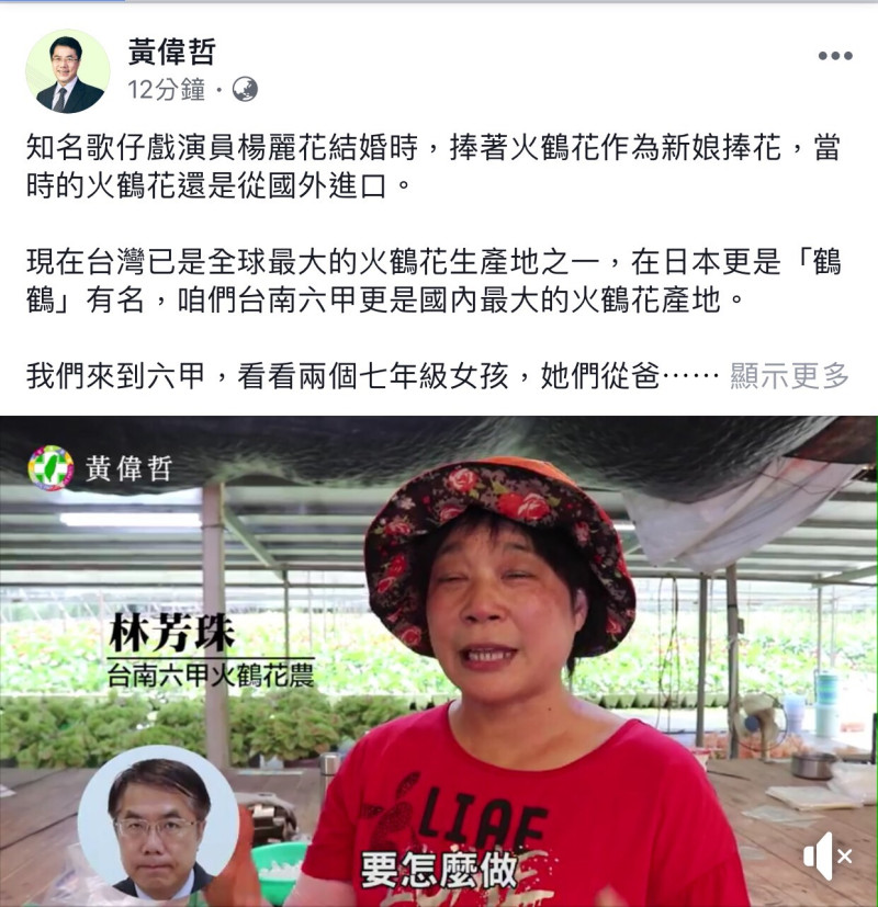 民進黨台南市長候選人黃偉哲在facebook發布最愛台南系列影片─「青農返鄉-火鶴姐妹」，講述六甲張家火鶴花園的故事。   圖：翻攝自黃偉哲臉書