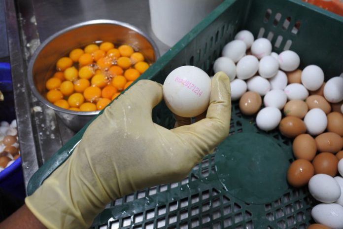 全台主要的蛋品供應商之一義進金食品公司，卻被踢爆回收即將過期的蛋品，改標販售，還爆出雞蛋留不得檢出的動物用藥。   圖：桃園市衛生局/提供