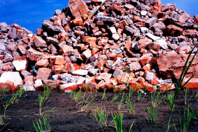 宜蘭冬山一處剛插秧不久的水田被傾倒廢棄的磚塊，由於農舍建造緊縮，許多地主搶在法令公佈前搶建。   圖：張良一 /攝
