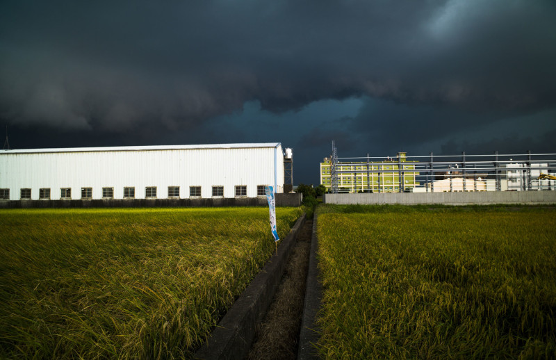 一大片烏雲籠罩在彰化縣和美鎮的一處稻田上空。稻田四周隨處可見鐵皮工廠和正在趕建工廠的鋼架。   圖：張良一/攝
