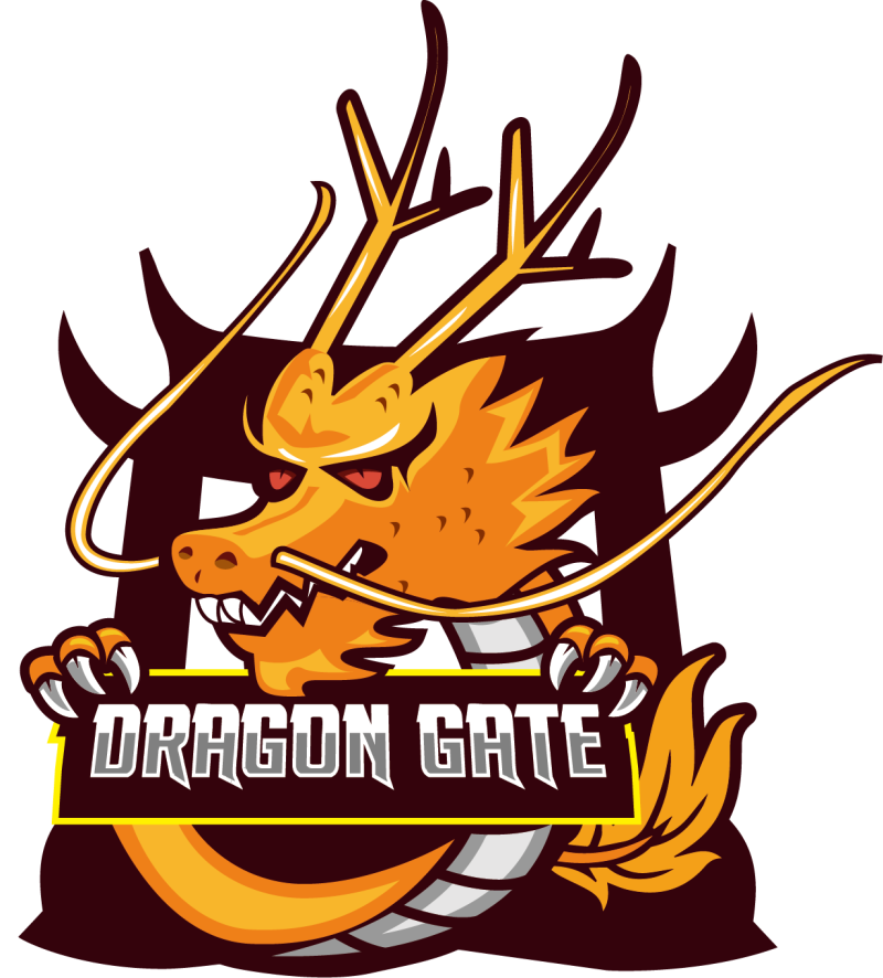 承接「普羅電競股份有限公司 Team AFRO（AFR）」參賽權的是香港魚躍國際文化傳媒有限公司，隊伍名稱為「Dragon Gate Team」，簡稱 DG。