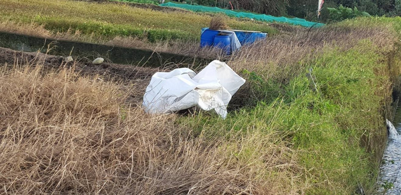 桃園市知名景點八德落羽松附近驚傳有2隻疑似病死豬遭丟棄水溝。   圖：取自詹江村臉書