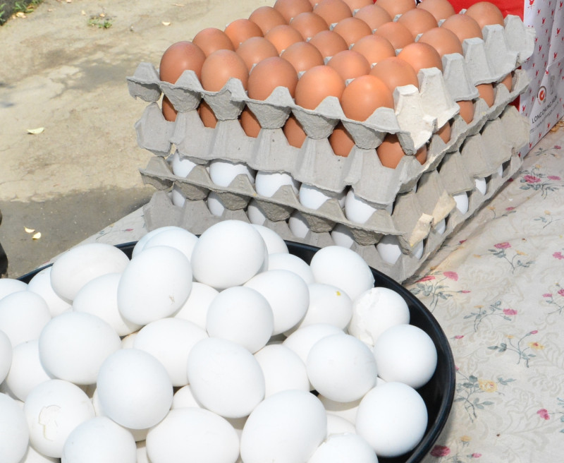 近期蛋價又飆高，重回年前的新高價格每台斤36.5元。   圖：彰化縣政府/提供