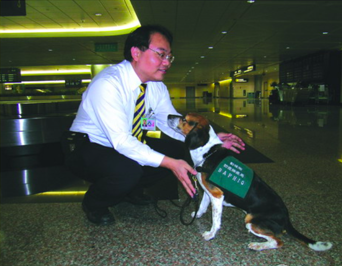 讓狗狗遵從領犬員的指令,培養默契需花費較長時間。 圖:行政院農委會動植物防疫檢疫局/提供 讓狗狗遵從領犬員的指令,培養默契需花費較長時間。 圖:行政院農委會動植物防疫檢疫局/提供