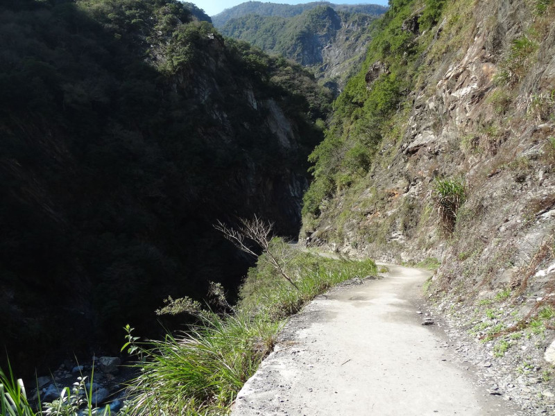 走在白楊步道可欣賞到太魯閣國家公園的大崩壁。   圖：太魯閣國家公園/提供