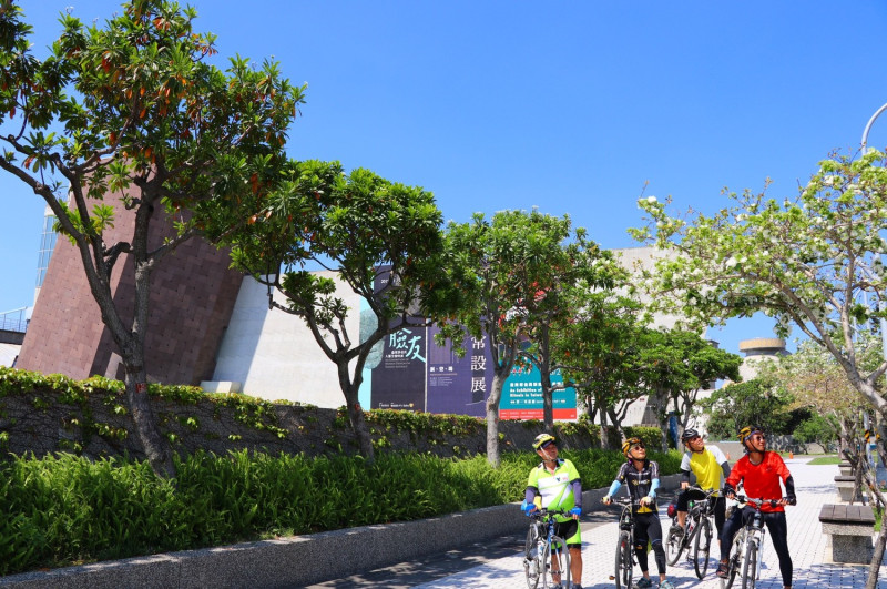 十三行博物館前的「八里左岸自行車道」雪白流蘇花正盛開中   圖：十三行博物館/提供