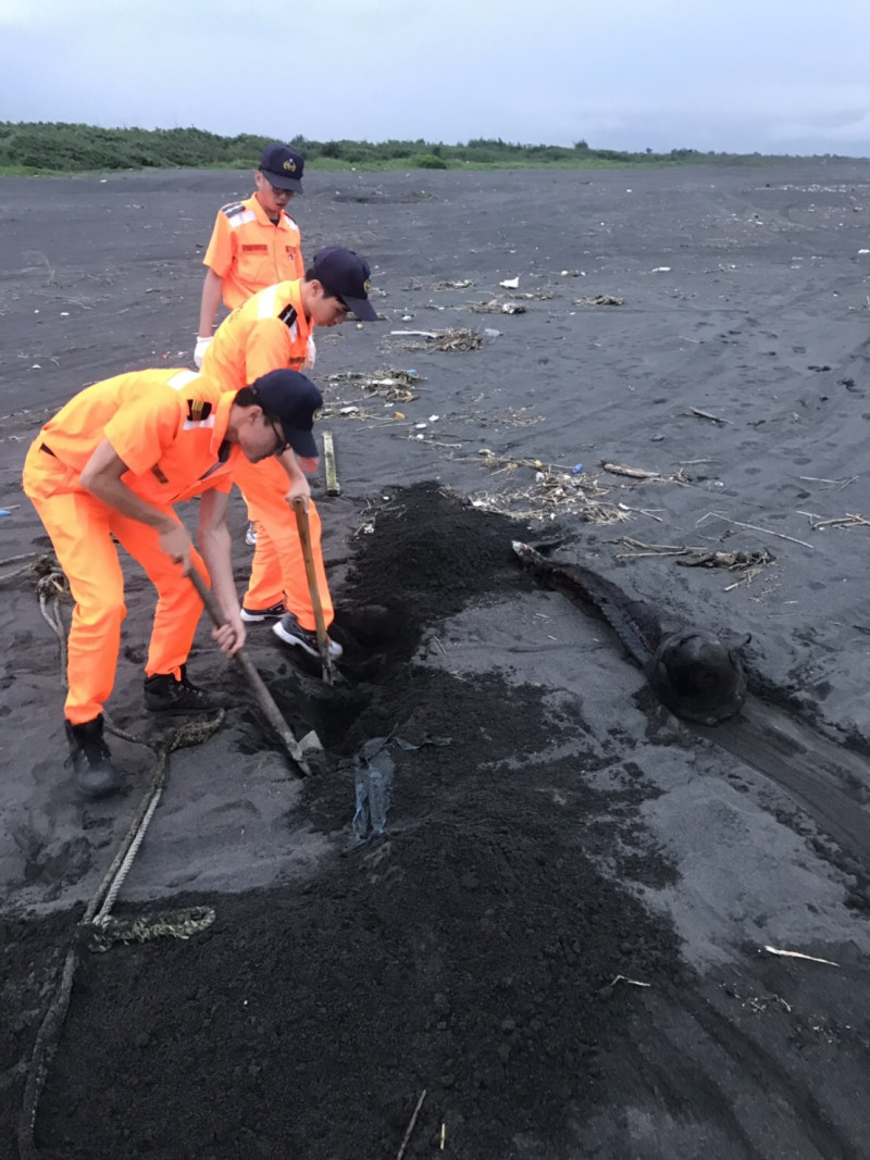 昨日下午五時於宜蘭縣蘭陽溪河口北岸發現死亡鯨豚擱淺   圖：海巡署第一岸巡隊/提供