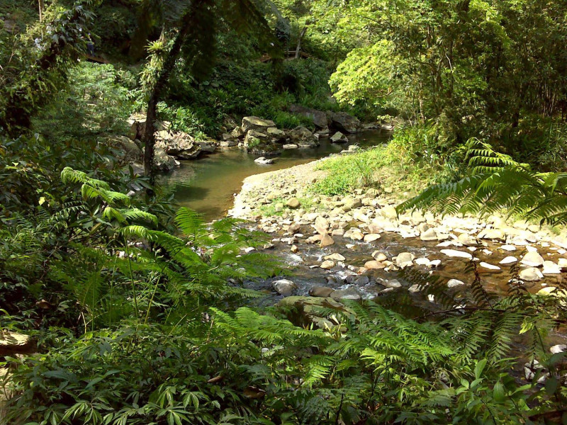 金瓜寮魚蕨步道部分路段可以親近溪流，與水同行。圖：新北市觀光旅遊網／翻攝