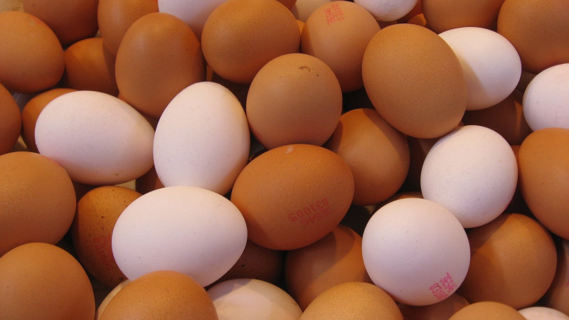 雞蛋是天然的食材，一顆雞蛋裡，就含有豐富的蛋白質、脂肪、維生素與礦物質等人類不可或缺的營養物質。   圖：食藥署/提供