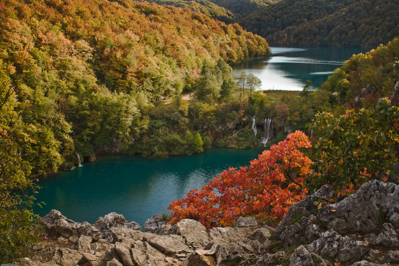 十六湖國家公園四季皆美，秋天可說是浪漫的季節。圖：翻攝自十六湖國家公園官網