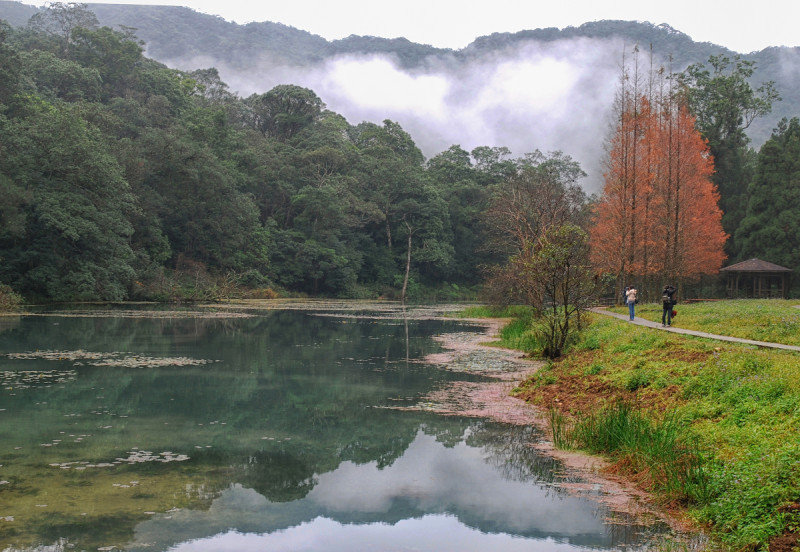 福山植物園一年有兩百多天都在下雨，雲霧在遠山間飄渺變幻。圖：謝佳真／攝