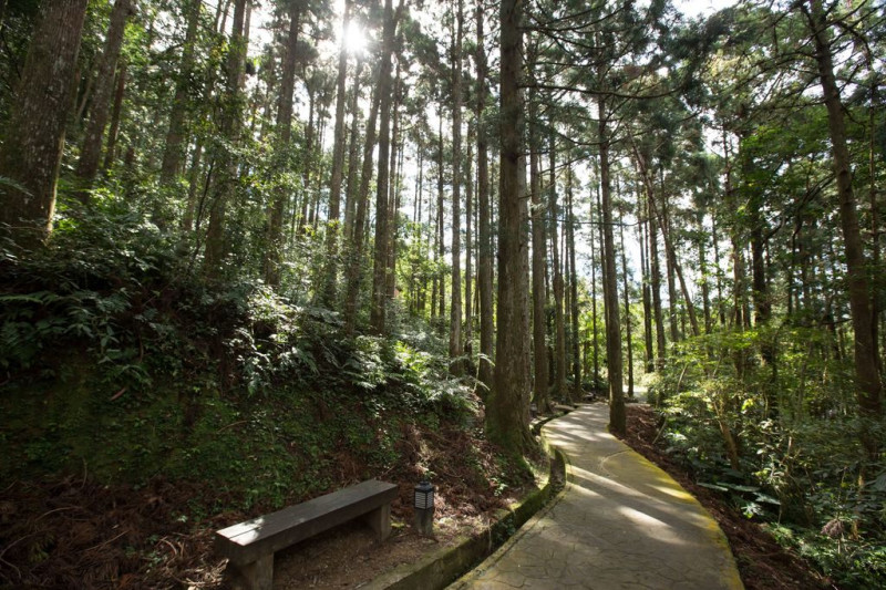 森林遊樂區內有一座「東眼山」，是台灣小百岳之一，單程1小時就可登頂。圖：翻攝自桃園觀光導覽網