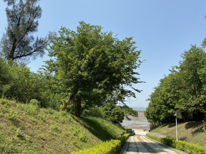 今天各地仍為多雲到晴的天氣，但明天受東北風影響，東北部要留意大雨   圖：閻芝霖/攝