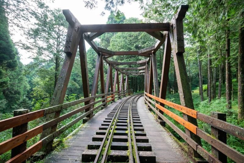 阿里山國家森林遊樂區內的新秘境-水山巨木步道，是一條結合昔日阿里山森林鐵道文化與探訪千年神木的步道。   圖：林務局/提供