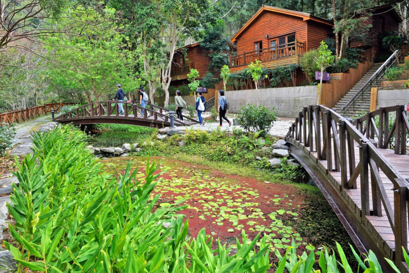 八仙山是日治時期台灣三大林場之一，可和谷關溫泉一同安排遊程。圖：台中觀傳局／提供