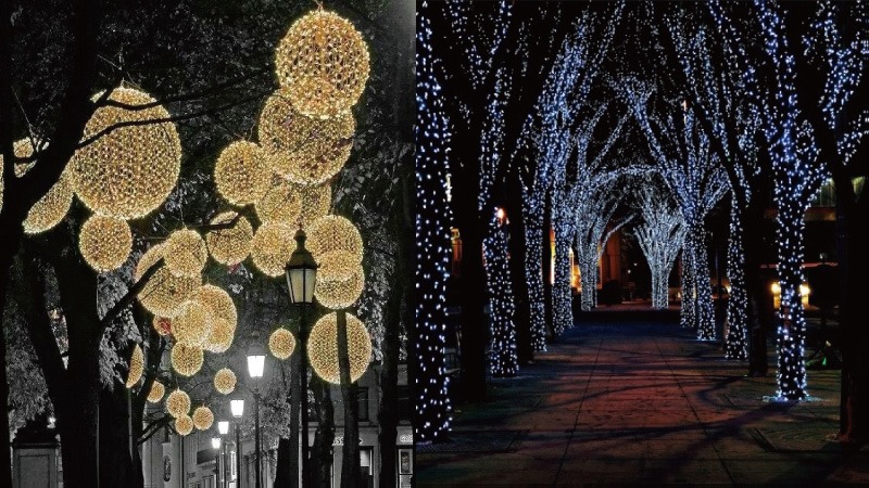「光環境」以公園步道的路樹來製作，採用各種色彩的LED燈飾裝飾樹幹本體，並製作多組發光球體來吊掛呈現   圖：花蓮縣政府/提供