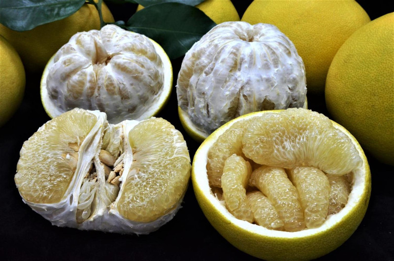 大白柚不論果肉或是水分都比文旦更飽滿豐厚、甘甜中帶酸的獨特風味，食後口齒留香，吃起來更過癮   圖：台南市農業改良場/提供