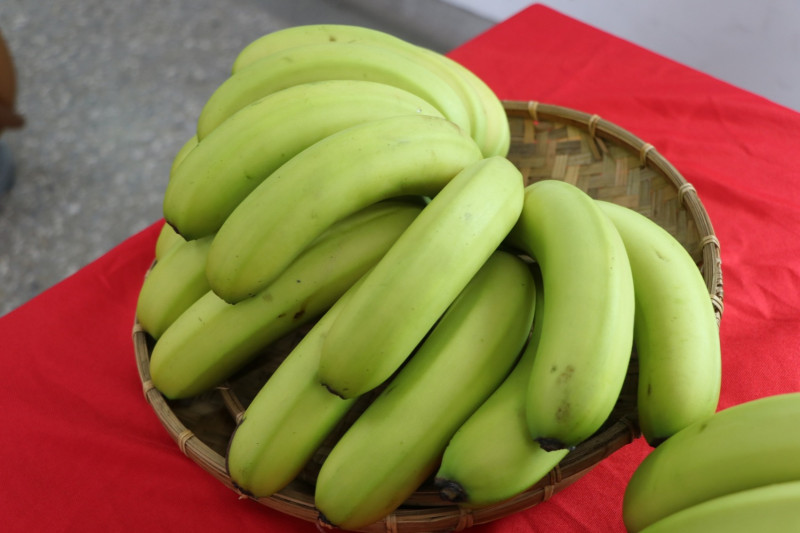 陳燕華表示，當水果成熟時，它們所含的營養素也會改變，生的和熟的香蕉各有優點及缺點   圖：農委會農糧署/提供