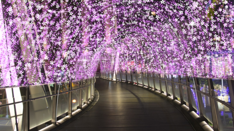 新站路天橋的粉紫色蒲公英構成夢幻燈海隧道。圖：新北市政府／提供