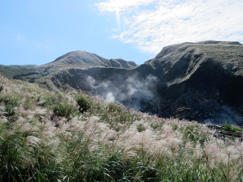 小油坑的白煙可說是最特別的芒花背景。圖：翻攝自陽明山國家公園臉書