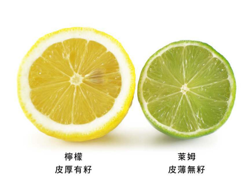檸檬和萊姆因會成熟度都會由綠變黃，兩種顏色都有 圖：取自農委會農業易遊網