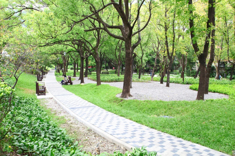 「東和及天和公園」-運用疏枝改變植生密度，改善活動空間明亮度   圖：台北市公園處/提供