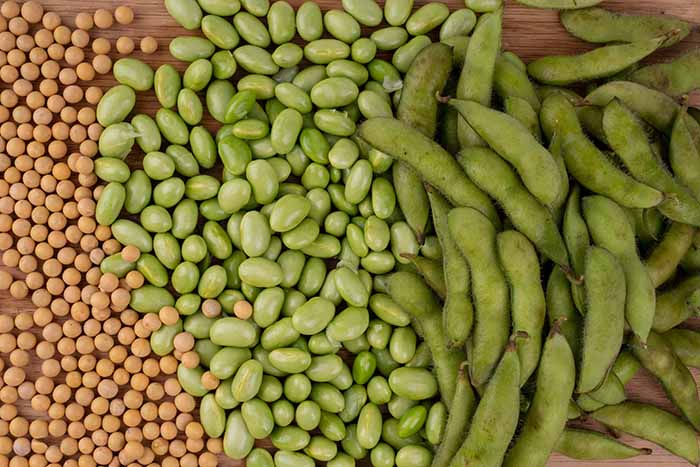 農委會表示，毛豆為大豆莢果發育至八分飽滿採收的鮮豆莢，豆莢外部富有絨毛，故稱毛豆   圖：取自農委會農業易遊網